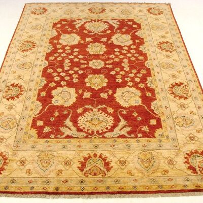 Afghan Chobi Ziegler 243x168 hand-knotted carpet 170x240 red, oriental, short pile