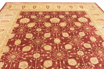 Tapis Afghan Chobi Ziegler 521x368 noué main 370x520 beige, oriental, poils courts 4