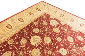 Tapis Afghan Chobi Ziegler 521x368 noué main 370x520 beige, oriental, poils courts 5