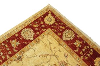 Afghan Chobi Ziegler 314x208 Tapis noué main 210x310 Beige Floral Pile Courte Orient 5