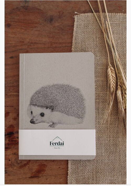 Hedgehog Ideas Notebook
