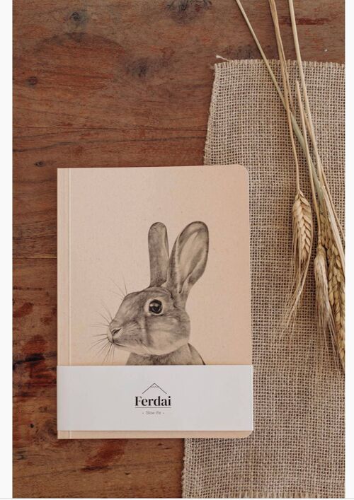 Rabbit Ideas Notebook
