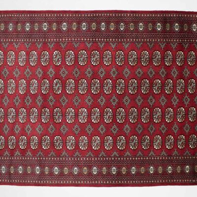 Pakistan Boukhara 238x156 tapis noué main 160x240 rouge oriental poil court orient