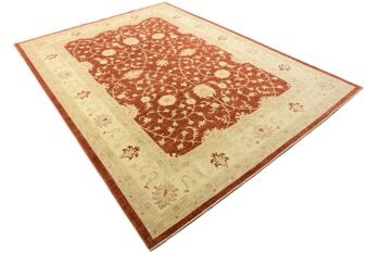 Tapis Afghan Chobi Ziegler 362x249 noué main 250x360 rouge, oriental, poils courts 3