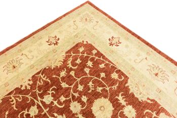 Tapis Afghan Chobi Ziegler 362x249 noué main 250x360 rouge, oriental, poils courts 5