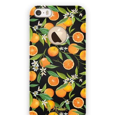 Estuche de moda para iPhone 5 / 5s / SE Tropical Fall