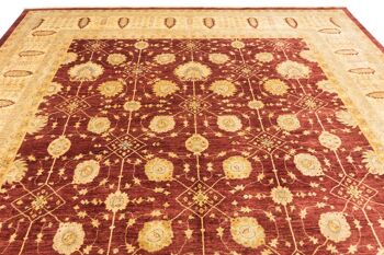 Tapis Afghan Chobi Ziegler 538x400 noué main 400x540 rouge, oriental, poils courts 4