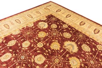 Tapis Afghan Chobi Ziegler 538x400 noué main 400x540 rouge, oriental, poils courts 5