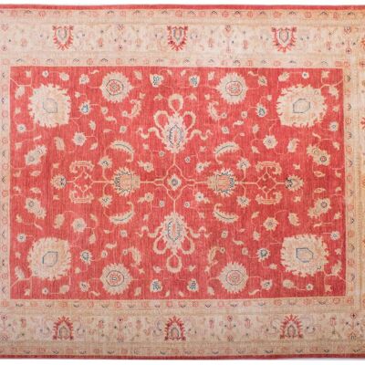 Afghan Feiner Chobi Ziegler 194x151 hand-knotted carpet 150x190 red flower pattern