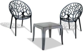 Ensemble de jardin - Table avec 2 chaises - Noir , SKU489 1