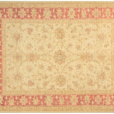 Afghan Chobi Ziegler 219x174 tappeto annodato a mano 170x220 beige, orientale, pelo corto