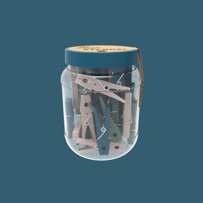 Jar including 50 Memoir clothes pegs