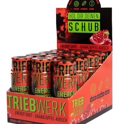 SCHUB Energy Shot - Melograno-Ciliegia - 12 pezzi