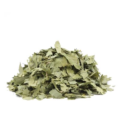 Ail des Ours Bio - Feuilles aromatiques séchées  - 100% Made in Provence -  40G