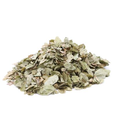 Myrtillier Bio - Feuilles séchées - 100% Made in Provence - 45G