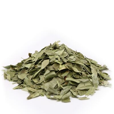 Petite Pervenche Bio - Feuilles séchées - 100% Made in Provence - 10G