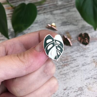 Pin - Monstera adansonii variegata Blatt