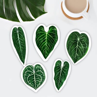 Set d'aimants Anthurium - 5 feuilles