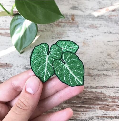 Patch Philodendron Gloriosum - 3 Blätter