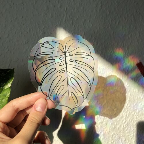 Sun Catcher Sticker - Monstera