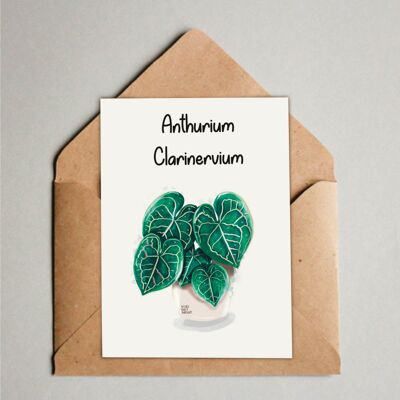 Postal / Impresión A6 - Anthurium Clarinervium