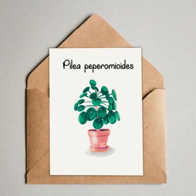 Carte postale / Impression A6 - Pilea Peperomioides