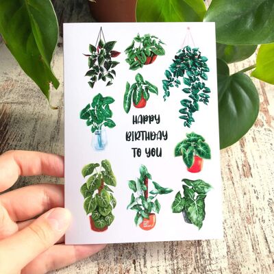 Tarjeta de feliz cumpleaños - Syngonium Lover - Con sobre