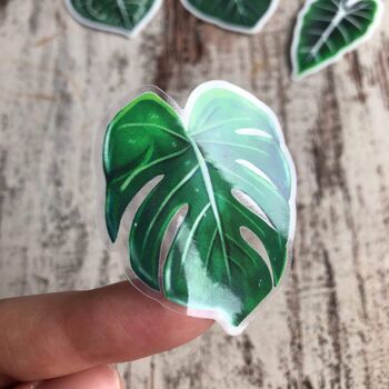 Autocollant - Monstera deliciosa 1 feuille transparent 2