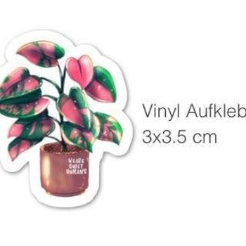 Autocollant - Philodendron Princesse Rose 2