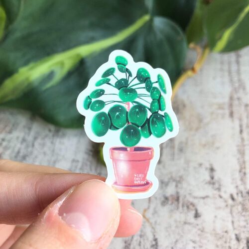 Sticker - Pilea Peperomioides Ufopflanze