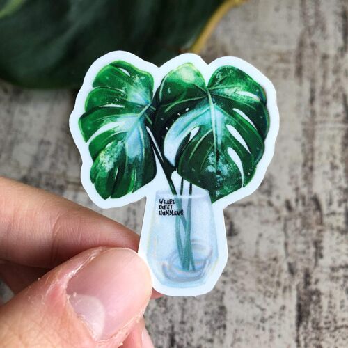 Sticker - Monstera variegata im Glas