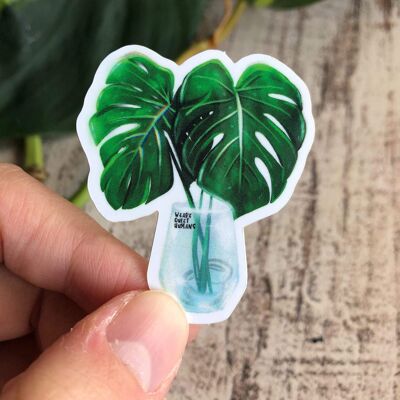 Pegatina - Monstera deliciosa en un vaso