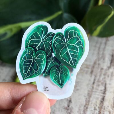 Sticker - Anthurium Clarinervium 5 sheets