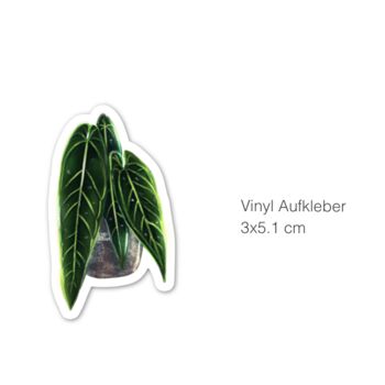 Autocollant - Anthurium 3 feuilles 2