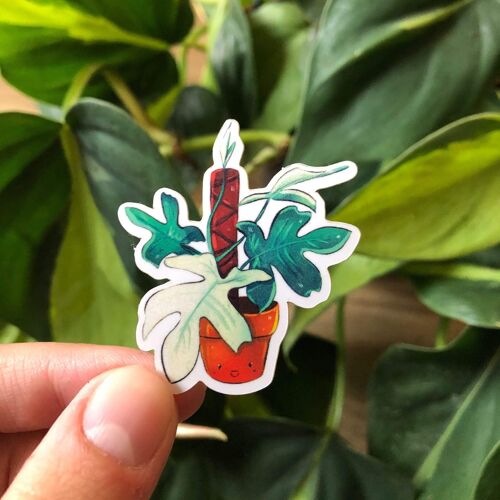 Sticker - Philodendron Florida Ghost
