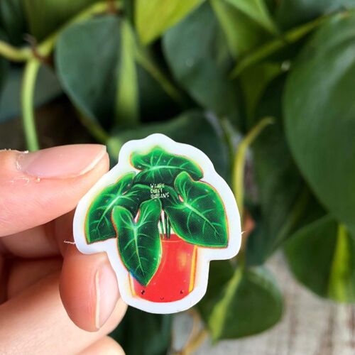 Sticker - Syngonium Arrow mit Gesicht