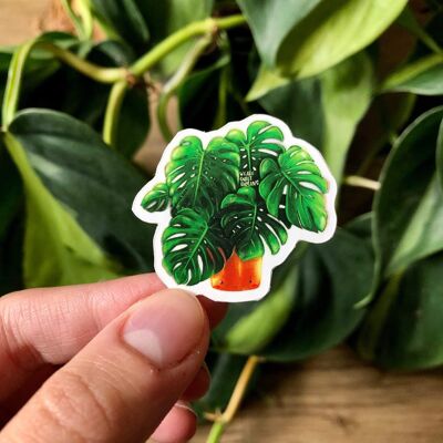 Sticker - Monstera deliciosa with face