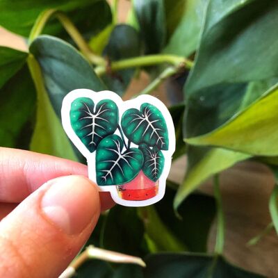 Sticker - Philodendron Gloriosum mit Gesicht
