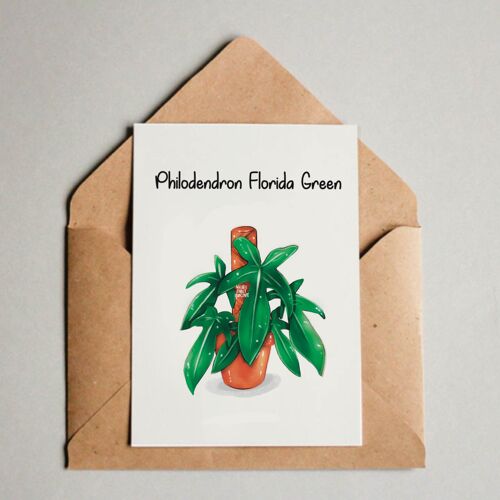 Postkarte / A6 Print - Philodendron Florida Green
