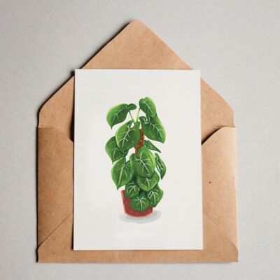 Postcard / A6 Print - Syngonium Frosted Heart