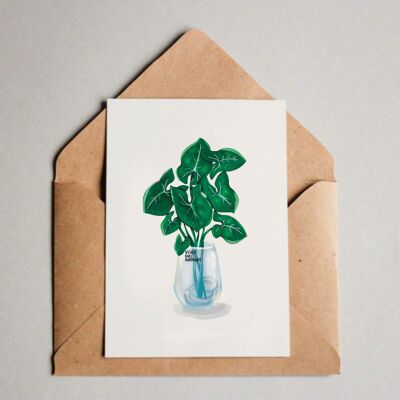 Carte postale / Tirage A6 - Syngonium dans le verre