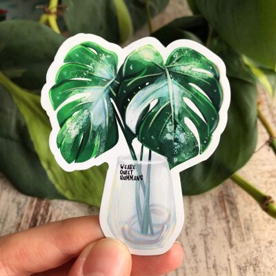 Magnet - Monstera variegata in a glass