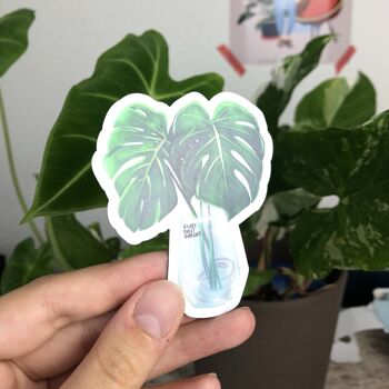 Aimant - Monstera deliciosa dans un verre - Grand 5