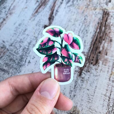 Magnet - Philodendron Pink Princess