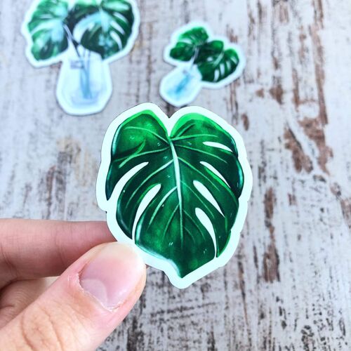 Magnet - Monstera deliciosa 1 Blatt