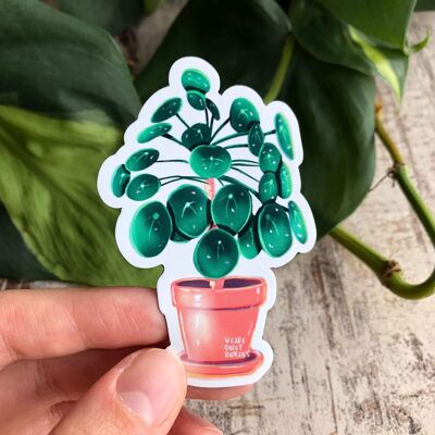 Magnet - Pilea peperomioides