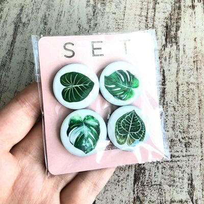 round, extra strong magnets - plant leaves - economy set - all 4 magnets
