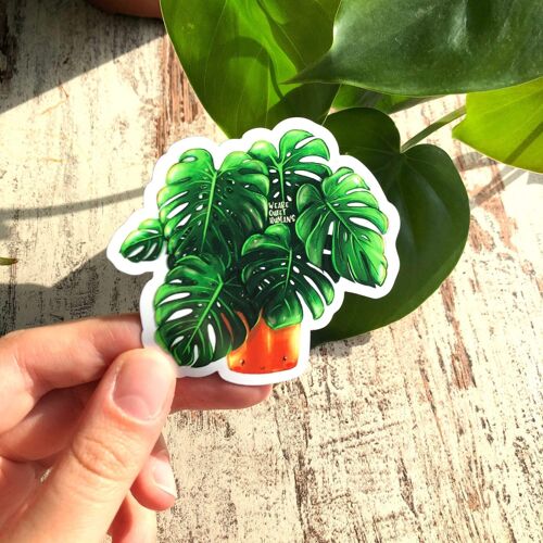 Magnet - Monstera deliciosa mit Gesicht - Groß