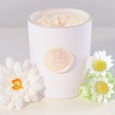 Plain Jane Soy Candle