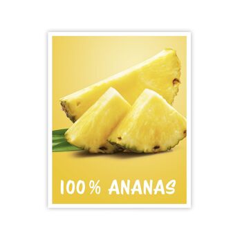 Purée de fruits ananas BIO - lot de 8 6